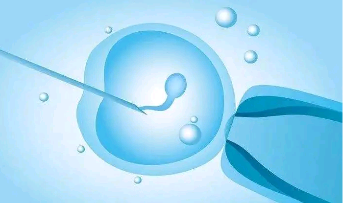 国际助孕中心_中国试管婴儿网海外|泰国试管婴儿移植两个囊胚，就可以生双胞