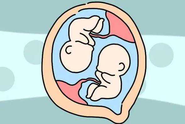 神州中泰代孕产子哪里找_神州中泰哪家医院招代孕,温州供卵私人机构 2023年单