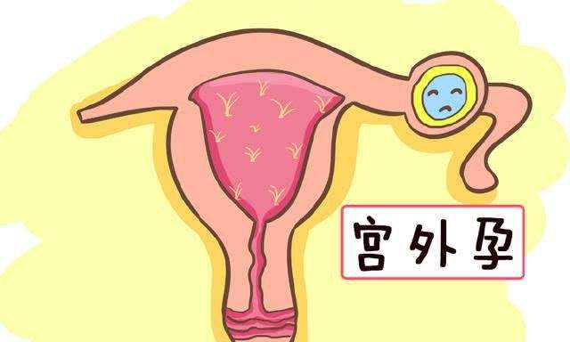 世纪助孕官网_广州试管婴儿助孕_原来试管婴儿移植冻胚流程是这样的